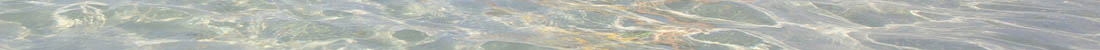 Kiten - Kitesurfen - Windsurfen an Nordsee und Ostsee